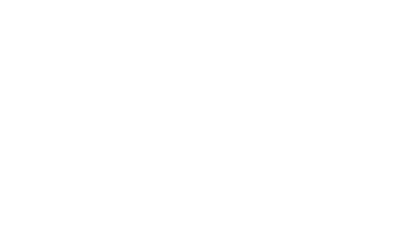 Vidyaas Cosmetics
